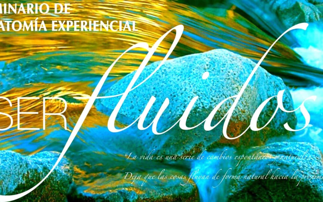 Anatomía Experiencial – El Oceano Interior