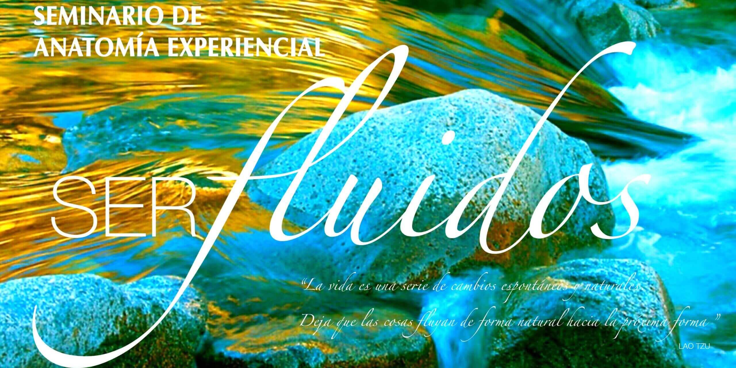 seminario anatomía experiencial