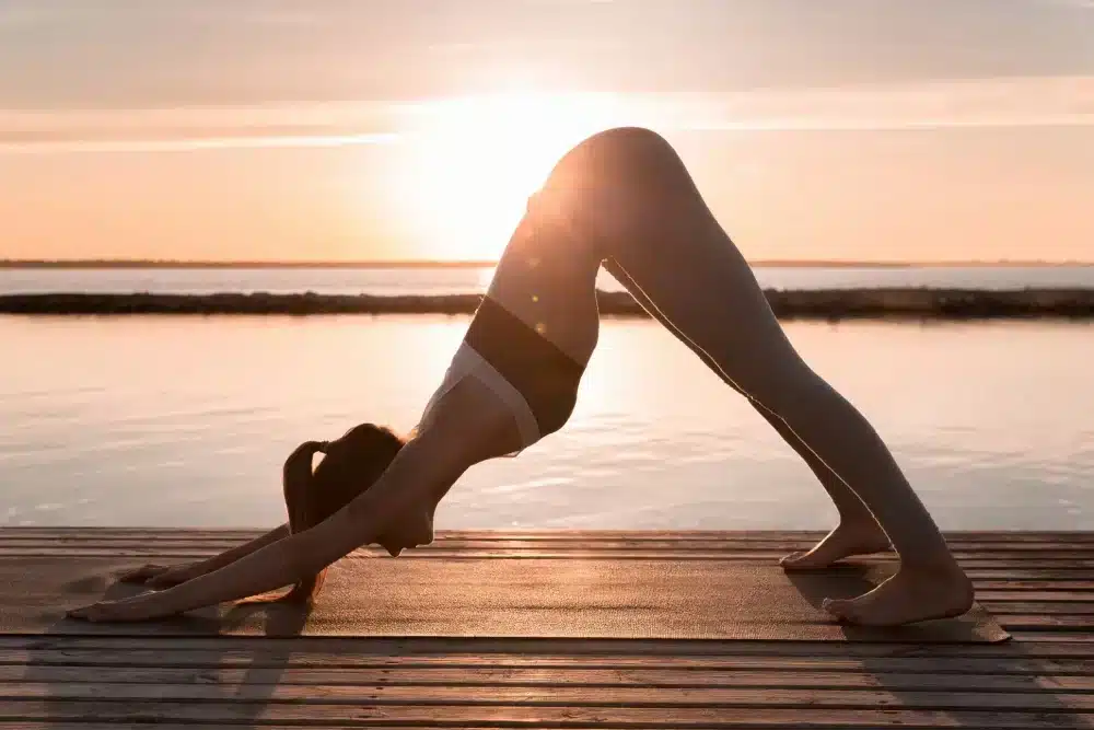 formacion hatha yoga